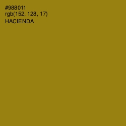 #988011 - Hacienda Color Image