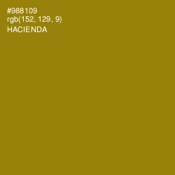 #988109 - Hacienda Color Image