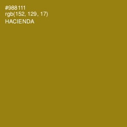 #988111 - Hacienda Color Image