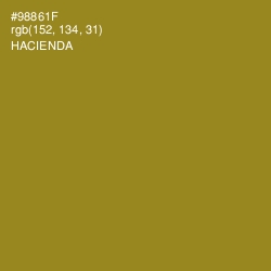 #98861F - Hacienda Color Image