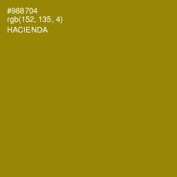 #988704 - Hacienda Color Image