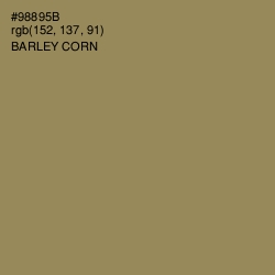 #98895B - Barley Corn Color Image