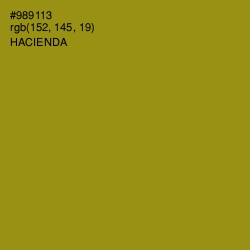 #989113 - Hacienda Color Image