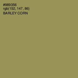 #989356 - Barley Corn Color Image