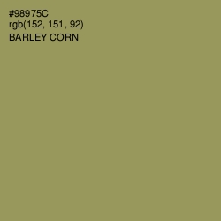 #98975C - Barley Corn Color Image