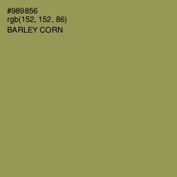 #989856 - Barley Corn Color Image
