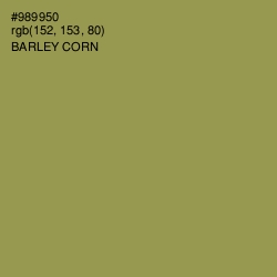 #989950 - Barley Corn Color Image