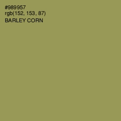 #989957 - Barley Corn Color Image