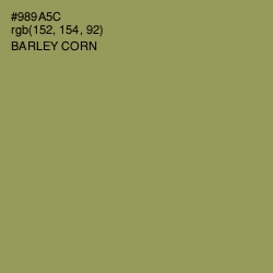 #989A5C - Barley Corn Color Image