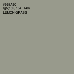 #989A8C - Lemon Grass Color Image
