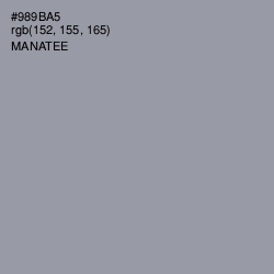 #989BA5 - Manatee Color Image