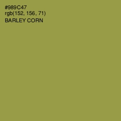 #989C47 - Barley Corn Color Image