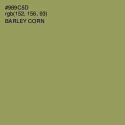 #989C5D - Barley Corn Color Image
