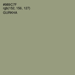 #989C7F - Gurkha Color Image