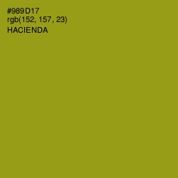 #989D17 - Hacienda Color Image