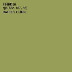 #989D56 - Barley Corn Color Image