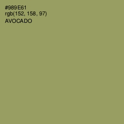 #989E61 - Avocado Color Image