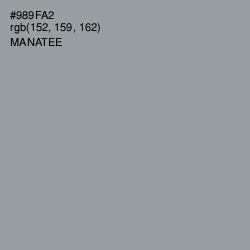 #989FA2 - Manatee Color Image