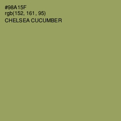 #98A15F - Chelsea Cucumber Color Image