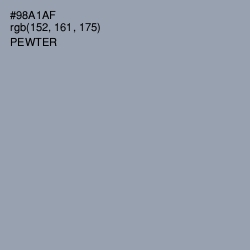 #98A1AF - Pewter Color Image