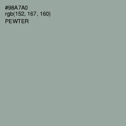 #98A7A0 - Pewter Color Image