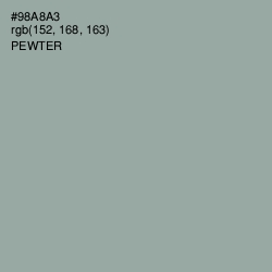 #98A8A3 - Pewter Color Image