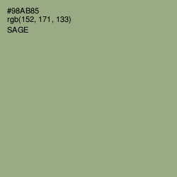 #98AB85 - Sage Color Image