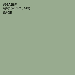 #98AB8F - Sage Color Image