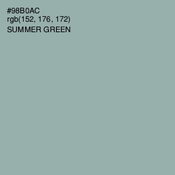 #98B0AC - Summer Green Color Image