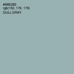 #98B2B3 - Gull Gray Color Image