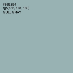 #98B2B4 - Gull Gray Color Image