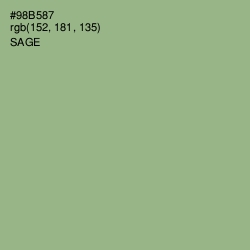 #98B587 - Sage Color Image