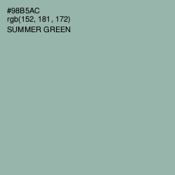 #98B5AC - Summer Green Color Image