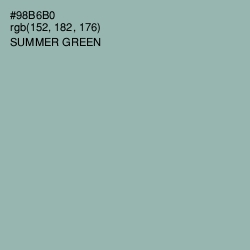#98B6B0 - Summer Green Color Image