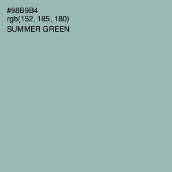 #98B9B4 - Summer Green Color Image