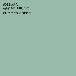 #98BAAA - Summer Green Color Image