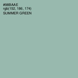 #98BAAE - Summer Green Color Image