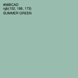 #98BCAD - Summer Green Color Image