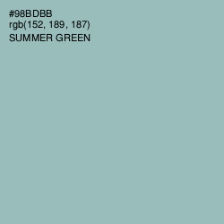#98BDBB - Summer Green Color Image