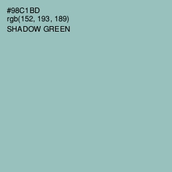 #98C1BD - Shadow Green Color Image