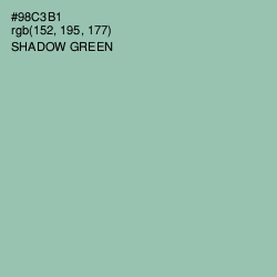#98C3B1 - Shadow Green Color Image
