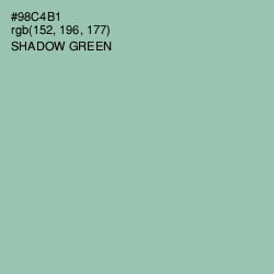#98C4B1 - Shadow Green Color Image