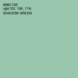 #98C7AE - Shadow Green Color Image