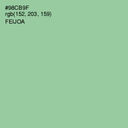 #98CB9F - Feijoa Color Image
