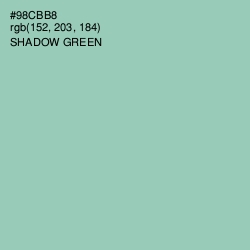 #98CBB8 - Shadow Green Color Image