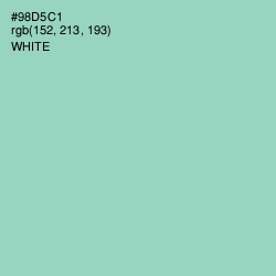 #98D5C1 - Sinbad Color Image