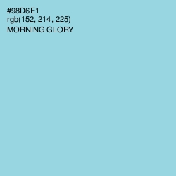 #98D6E1 - Morning Glory Color Image