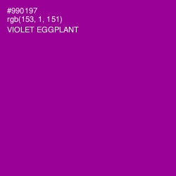 #990197 - Violet Eggplant Color Image