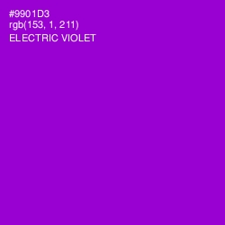 #9901D3 - Electric Violet Color Image