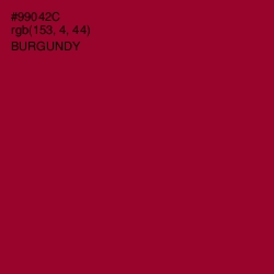 #99042C - Burgundy Color Image